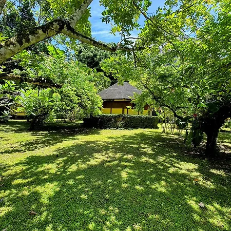 Alby Lodge Cahuita Exterior photo