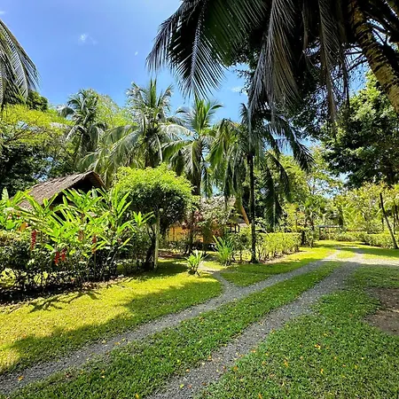 Alby Lodge Cahuita Exterior photo