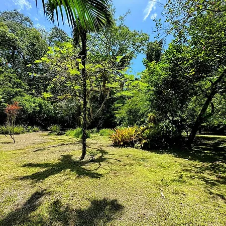 Alby Lodge Cahuita Exterior photo