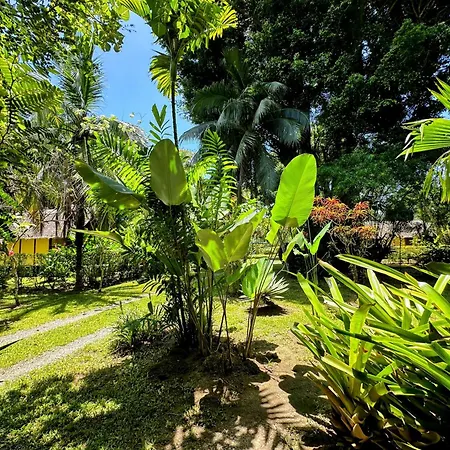 Alby Lodge Cahuita Exterior photo