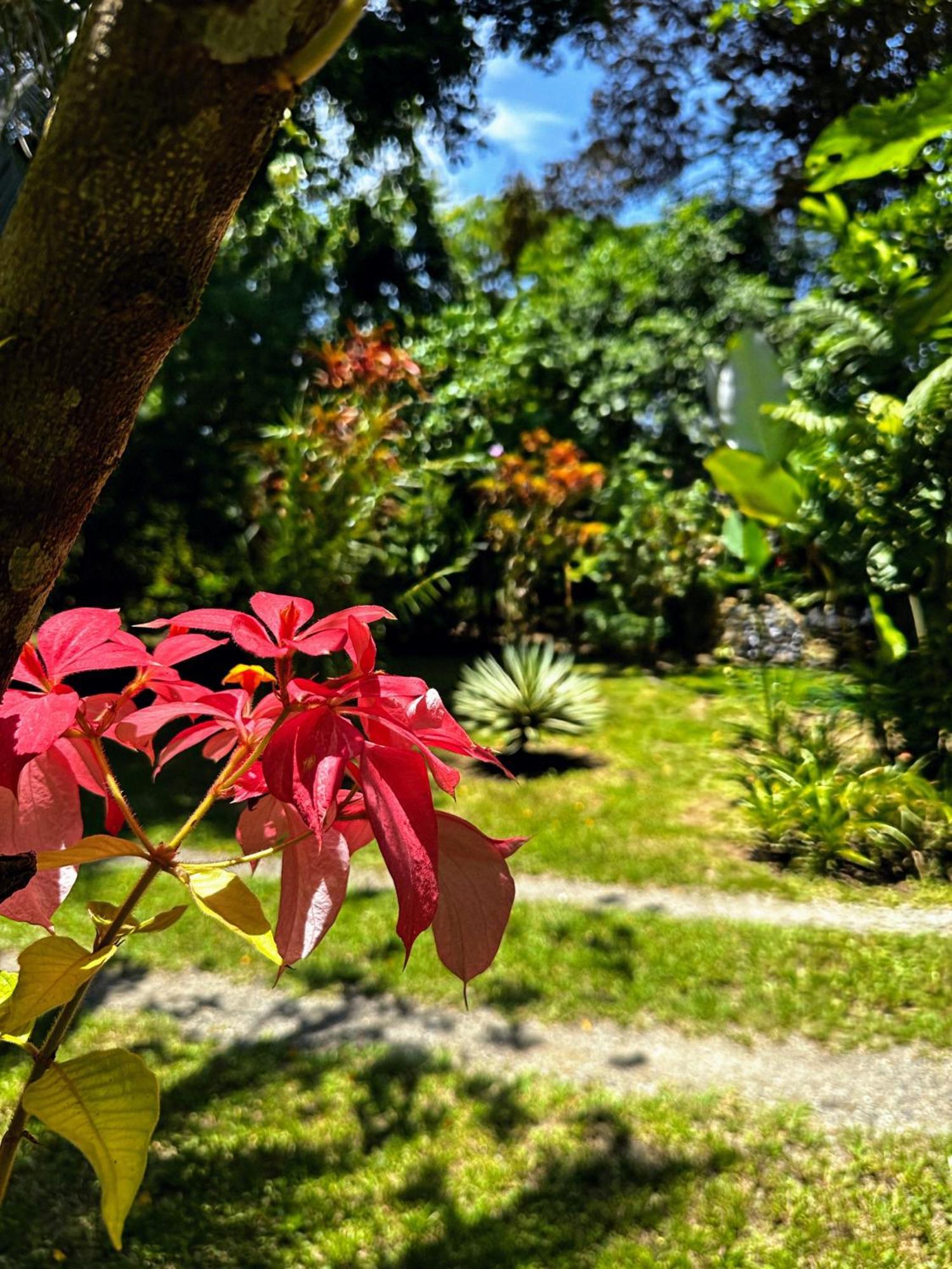 Alby Lodge Cahuita