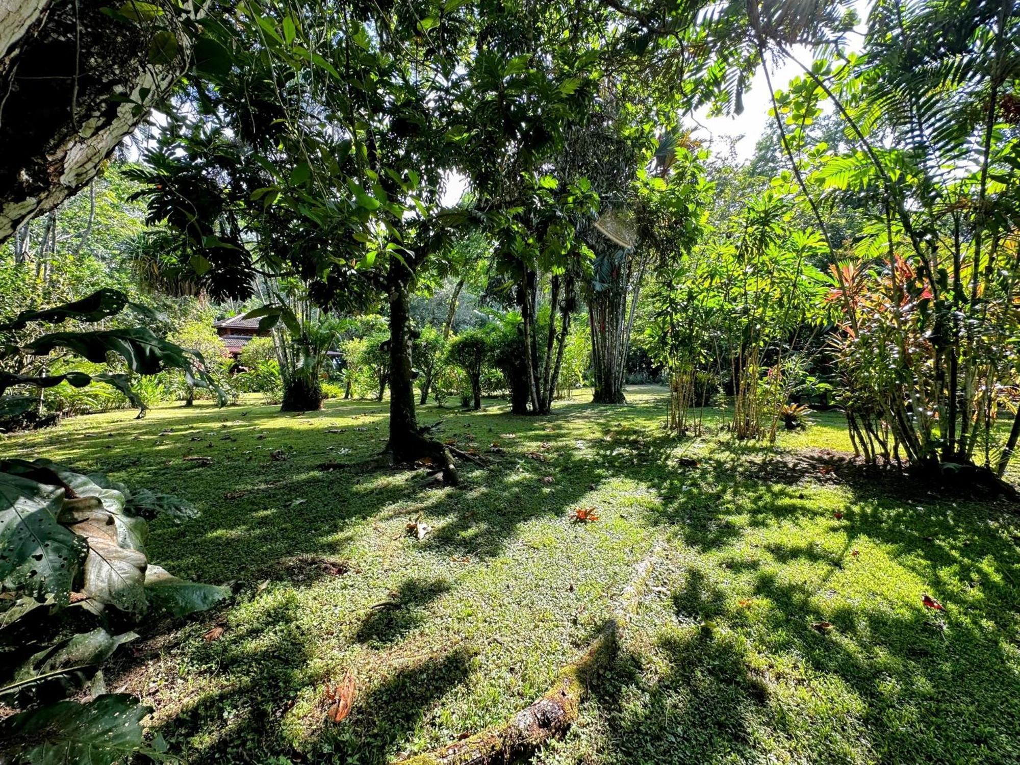 Alby Cahuita