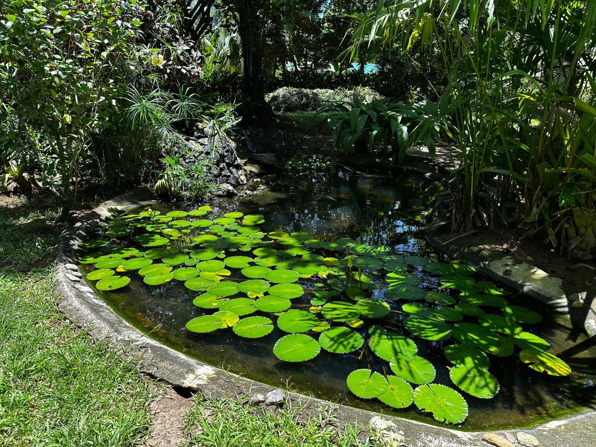 Lodge Alby Cahuita