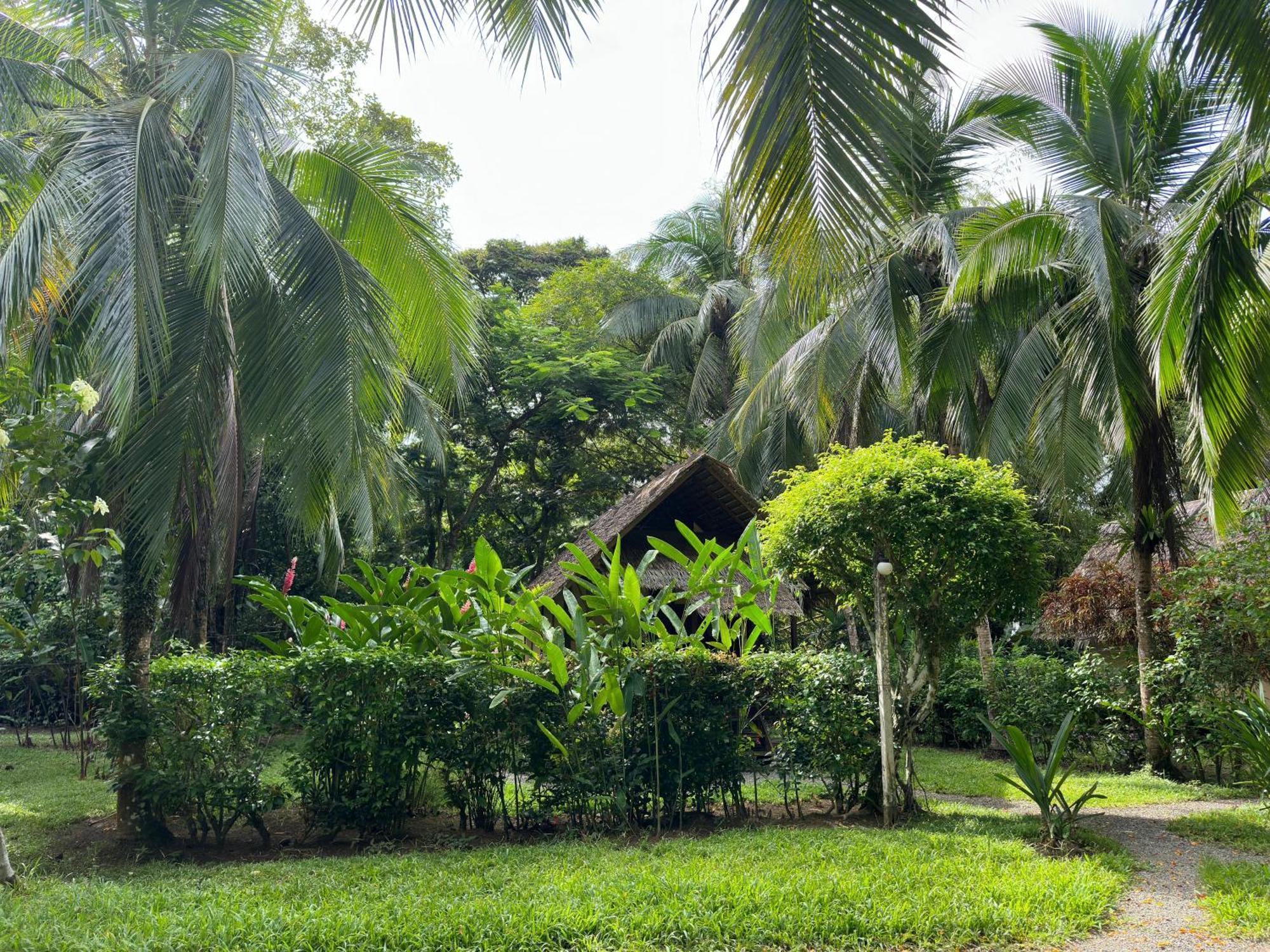 Alby Cahuita